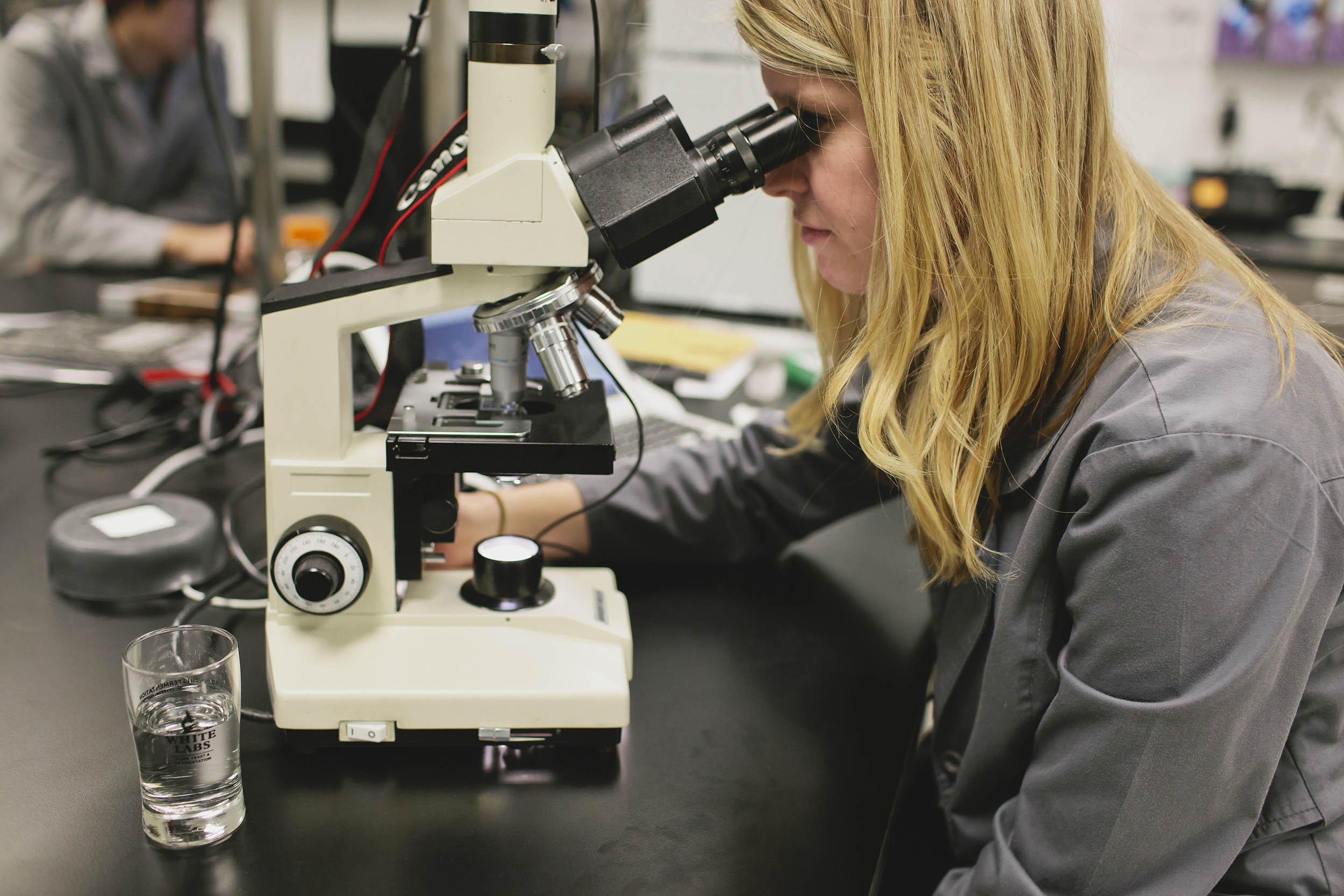 Economic Development Strategy Asheville Area Chamber of Commerce