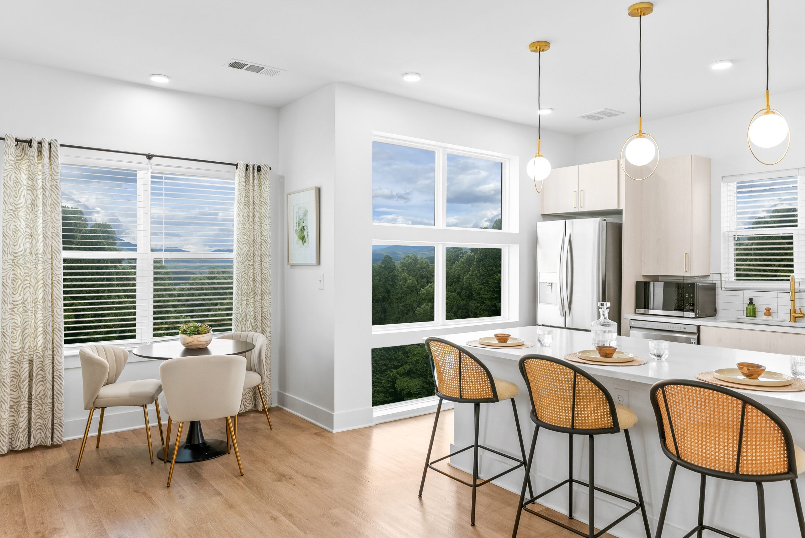 Luxury Penthouse Apartments For Rent In Asheville East preview
